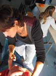 Bild 45