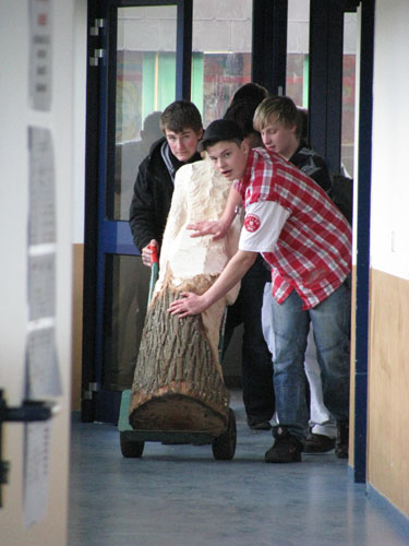 Bilder 113