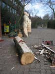 Bilder 065