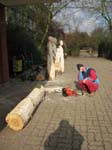 Bilder 068