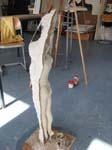 Bilder 084