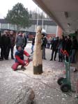 Bilder 121